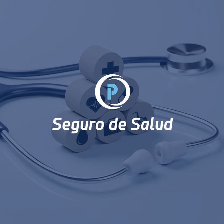 Diapositiva11