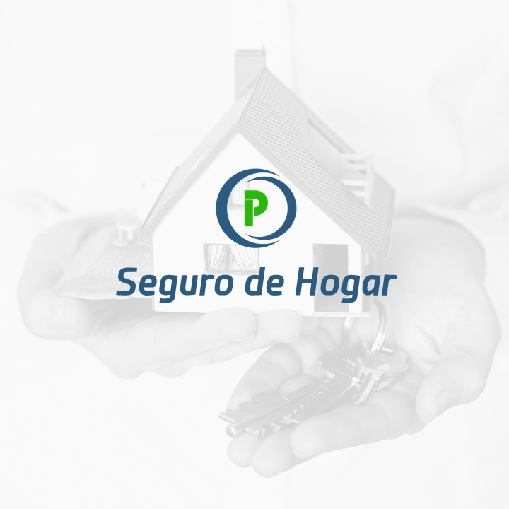 Diapositiva13